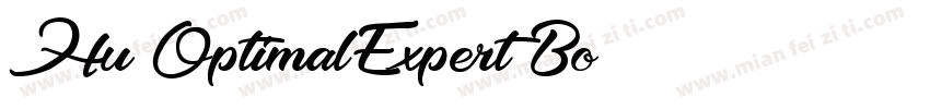 Hu_OptimalExpert Bo字体转换
